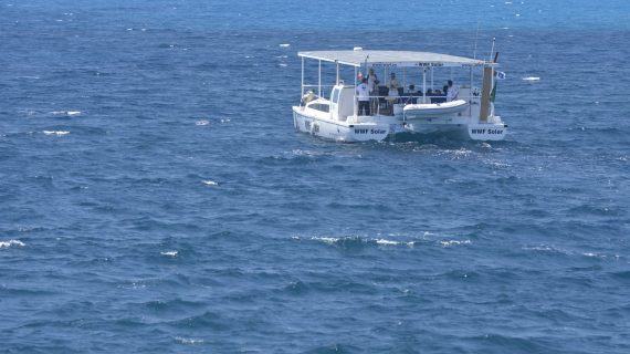 O barco solar de WWF arrinca a súa travesía en Alacante para loitar contra os plásticos no mar xunto a KISS FM