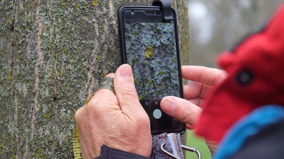 Un proxecto de ciencia cidadá avaliará a calidade do aire en Pontevedra a través dos liques