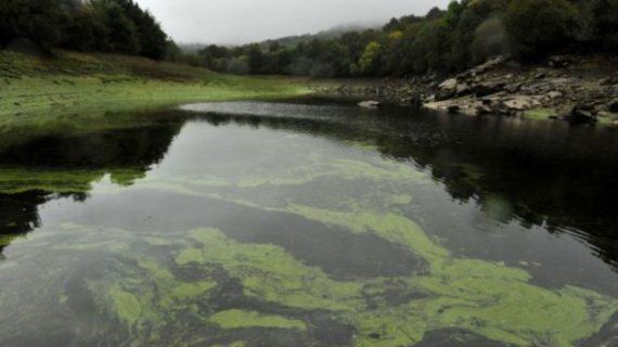 Auga potable en risco de extinción na Limia?