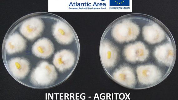 O proxecto europeo AGRITOX, no que participa a Deputación de Pontevedra, estrea sitio web