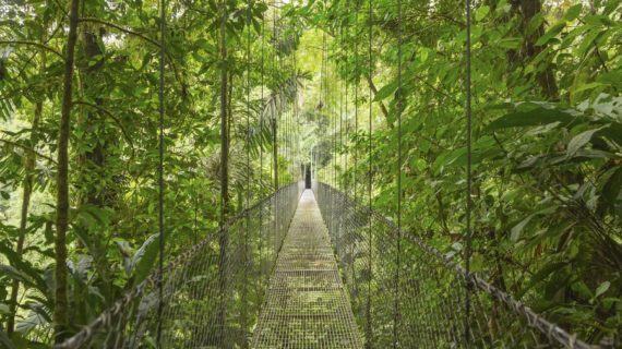 La preservación de la biodiversidad debe ser un eje fundamental de la Estrategia de Turismo Sostenible