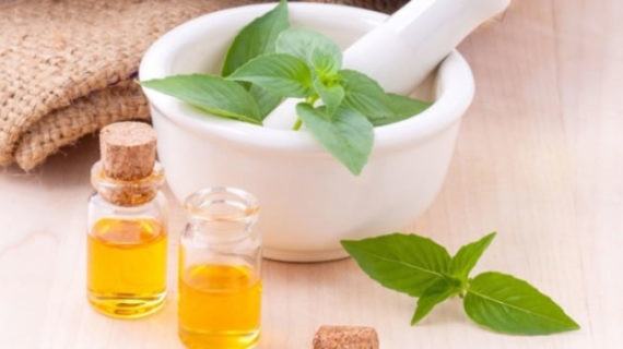 A Guarda acolle en febreiro un curso de Elaboración artesanal de Ungüentos naturais