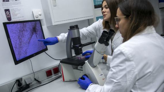 A Xunta activa apoios por 2 M€ para impulsar a contratación de 120 profesionais de I+D+i en empresas e organismos de investigación