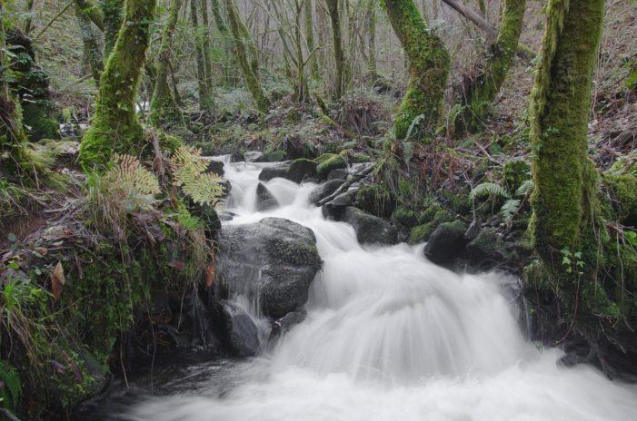 Convocadas axudas para a execución de accións de mellora e conservación nos seis parques naturais de Galicia