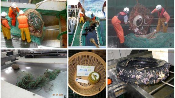 Un estudio del Instituto Español de Oceanografía  confirma la escasa presencia de basura en los fondos marinos de la División 3L del área NAFO