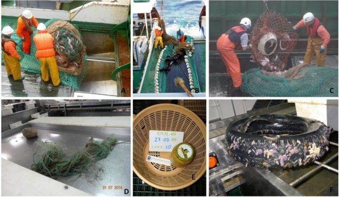 Un estudio del Instituto Español de Oceanografía  confirma la escasa presencia de basura en los fondos marinos de la División 3L del área NAFO