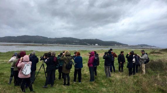O complexo intermareal Umia-O Grove acolle este domingo a segunda das rutas ornitolóxicas do programa “Voando nas Rías Baixas”
