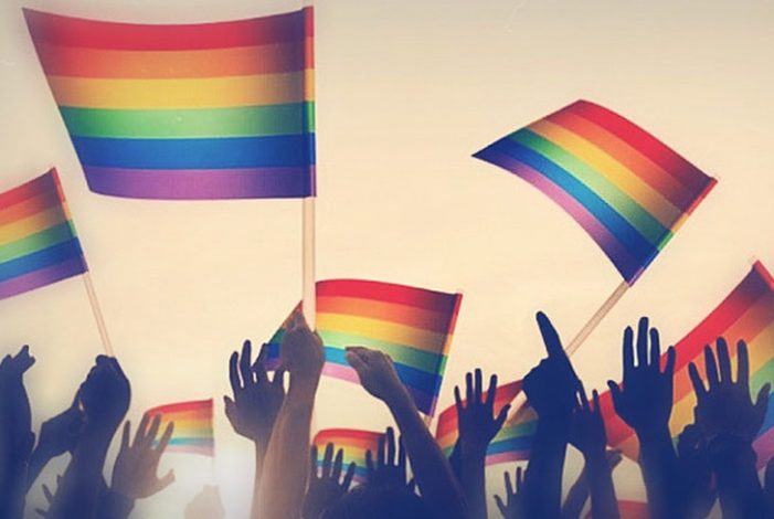 Presentados los resultados del Proyecto Europeo Avanzando en la gestión de la diversidad LGBT en el sector público y privado