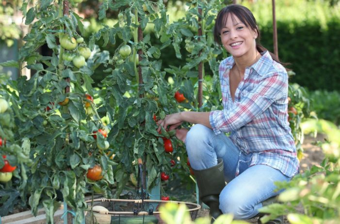 Agricultura, Pesca y Alimentación convoca los Premios de Excelencia a la Innovación para Mujeres Rurales