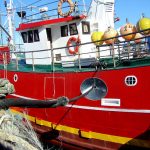 España valora la prórroga del acuerdo de pesca sostenible entre la Unión Europea e Islas Cook