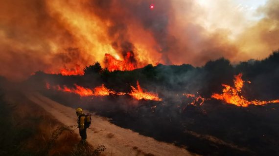 “Intencionalidade evidente” nos recentes incendios