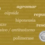 O Dicionario da Real Academia Galega segue a incorporar voces da pandemia e engade novas acepcións de 'gromo' e 'repunta'