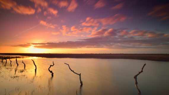 Mañana se cumplen 51 años de la creación del Parque Nacional de Doñana