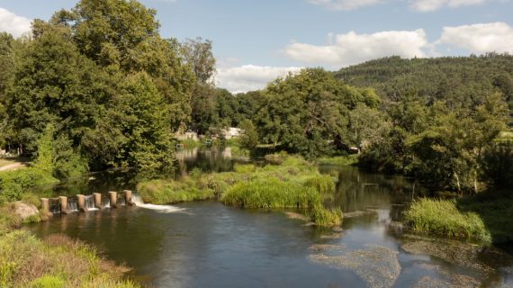 A Xunta publica no DOG a encomenda á empresa pública Seaga dos traballos de restauración do bosque de ribeira no río Umia ao seu paso polo Concello da Estrada