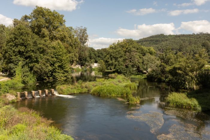 A Xunta investirá 220.000 euros na restauración do bosque de Ribeira no río Umia ao seu paso polo concello da Estrada