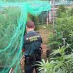 La Guardia Civil interviene una plantación de marihuana en Barro