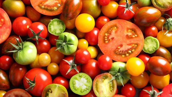 OCU analiza los tomates de bote, pocos aditivos y puntuación alta en Nutriscore