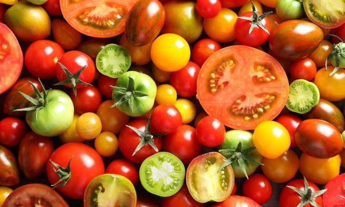 OCU analiza los tomates de bote, pocos aditivos y puntuación alta en Nutriscore