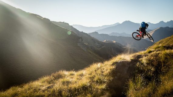 Os bosques e o medio ambiente, protagonistas no cinema de natureza en The Wild