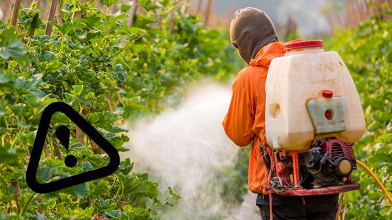 En Galicia continúase a autorizar o uso de pesticidas prohibidas sen razón
