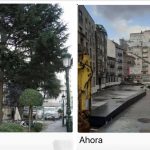 Carta al Ayuntamiento de Vigo. Gestión del Arbolado Urbano