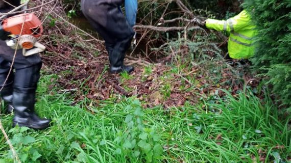 La Xunta realiza actuaciones de conservación y limpieza en el trecho interurbano del río Quenxe, a su paso por el ayuntamiento de A Laracha