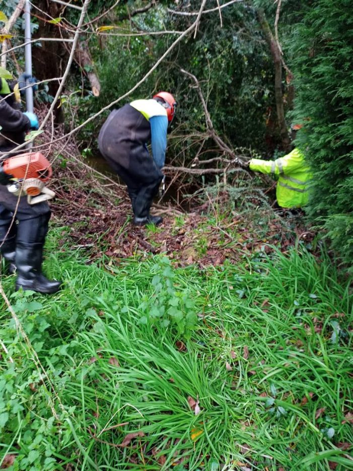 La Xunta realiza actuaciones de conservación y limpieza en el trecho interurbano del río Quenxe, a su paso por el ayuntamiento de A Laracha