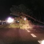 Protección Civil de O Porriño retirou árbores, postes, chapas e toldos derrubados polos refachos de vento