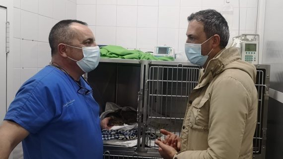 Marcos Rey preocúpase polo estado de saúde do gato Balín tras ser operado e advirte de que “este acto de falta de humanidade non quedará impune”