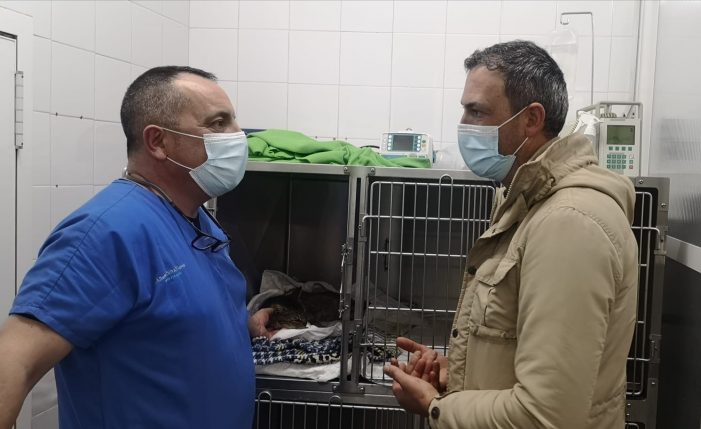 Marcos Rey preocúpase polo estado de saúde do gato Balín tras ser operado e advirte de que “este acto de falta de humanidade non quedará impune”