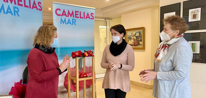 A camelia non poderá encher este ano os corredores e salas do Museo Manuel Torres