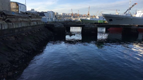 O BNG insta o Goberno a paralizar o recheo do porto de Vigo