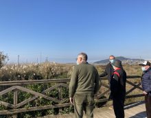 O Concello de Nigrán consignará 12.000 € do orzamento 2021 para erradicar a herba da Pampa co asesoramento de Galicia Ambiental