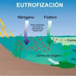 Solicitan a designación de Zona Vulnerables aos Nitratos para a comarca da Limia