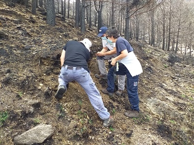 La Xunta colabora en el análisis del impacto en el suelo del incendio registrado en la localidad abulense de Navalacruz