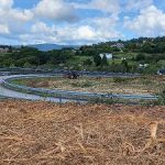 La Xunta comenzará este lunes nuevos trabajos de limpieza en las márgenes de tres carreteras autonómicas en las provincias de Lugo y de Pontevedra