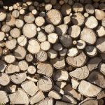 La Xunta enajenó 61 lotes de madera por 3,8 M€ en la subasta pública electrónica celebrada en Lugo