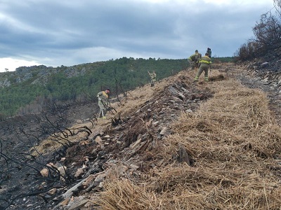 La Xunta comienza la aplicación de paja con la técnica del mulching en las zonas más afectadas por los fuegos de Ribas de Sil para proteger el suelo y evitar arrastres