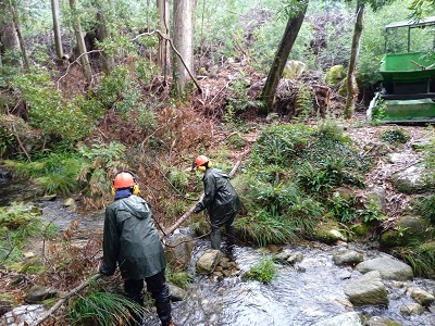 La Xunta realiza actuaciones de conservación y limpieza en los trechos interurbanos de tres ríos en el ayuntamiento de Carnota