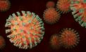 Galicia registra un total de 69.717 casos activos por coronavirus