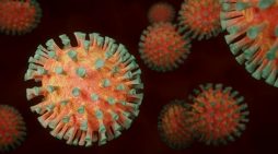 Galicia registra un total de 72.441 casos activos por coronavirus