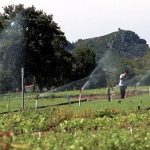 La Xunta convoca las ayudas de la Política Agraria Común 2022 con un presupuesto de unos 210 millones de euros
