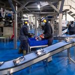 La Xunta y la industria transformadora de productos del mar desarrollarán en 2022 distintas acciones para impulsar la competitividad y el crecimiento del sector