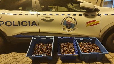 La Policía Autonómica decomisa 38 kilos de percebe en un dispositivo en Vigo