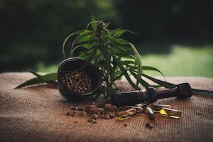tecnocultivo