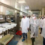 Galicia apoya con 3,5 millones de euros a las empresas de cultivo de productos acuícolas para compensar las pérdidas de ingresos registradas por la covid-19