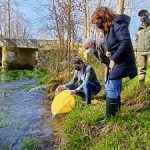La Xunta colabora en una suelta de truchas en el río Mera para conservar la riqueza piscícola y la biodiversidad de este curso fluvial