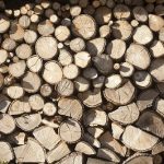 Feijóo avanza que la Agenda de la Industria Forestal movilizará 140 M€ para aumentar la facturación del sector hasta los 2.700 M€ anuales y conseguir los 25.000 empleos en 2024