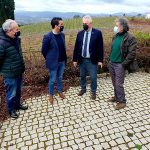 La Xunta concede 466.000€ a las principales bodegas de O Condado, A Paradanta y O Baixo Miño para reestructuración y conversión de viñedo