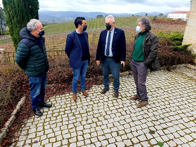 La Xunta concede 466.000€ a las principales bodegas de O Condado, A Paradanta y O Baixo Miño para reestructuración y conversión de viñedo